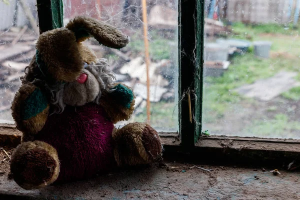 Viejo Conejo Peluche Sucio Alféizar Ventana Casa Abandonada — Foto de Stock