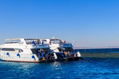 Hurghada, Mısır - 7 Aralık 2018: Bilinmeyen insanlar mercan resiflerinde şnorkelle yüzüyor ve Kızıl Deniz 'deki yatlarda dinleniyorlar