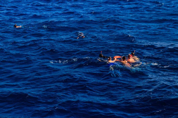 Group People Snorkeling Coral Reef Red Sea — Stock Photo, Image