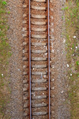Yeşil bir çam ormanından geçen demiryolu manzarası.