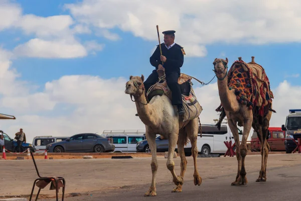 Cairo Egito Dezembro 2018 Policial Egípcio Monta Seu Camelo Área — Fotografia de Stock