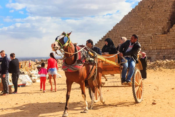 Cairo Egipto Diciembre 2018 Turistas Montando Carro Caballos Cerca Las — Foto de Stock