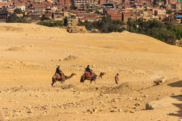 Каир Египет Декабря 2018 Года Туристы Верхом Верблюдах Плато Гиза — стоковое фото