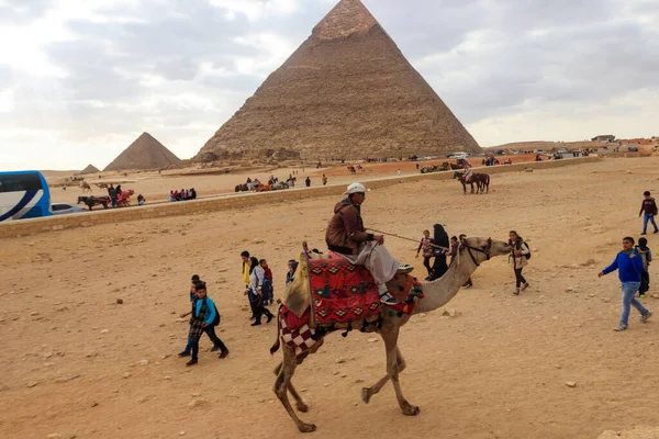 Cairo Egipto Diciembre 2018 Camello Beduino Cerca Las Grandes Pirámides — Foto de Stock
