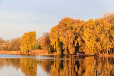 Sonbaharda güzel bir göl manzarası