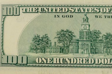 100 dolarlık makro çekim.