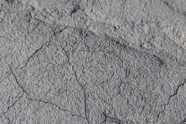 Arka plan olarak ıslak çatlamış zemin dokusu