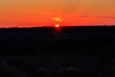 Baharda çayırda portakal rengi gün batımı