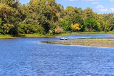 Kremenchug, Ukrayna - 22 Ağustos 2018: Dinyeper Nehri 'nde kayak yapan yaşlılar