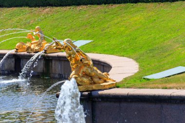 St. Petersburg, Rusya 'nın Aşağı Peterhof Parkı' ndaki altın çeşme.