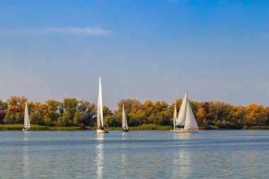 Kremenchug, Ukrayna 'daki Dinyeper Nehri' ndeki yelkenli yarışlarında yatlar