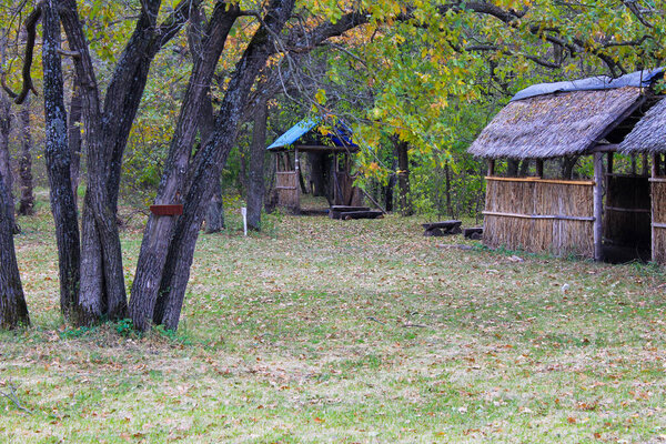 Picnic site in autumn forest