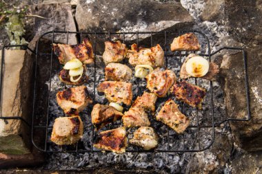 Izgarada domuz eti kızartılıyor. Kömürde et, barbekü yakın.