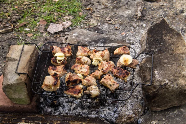 Pork Meat Roasting Grill Meat Coals Barbeque Close — Stock Photo, Image