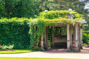 Tsarskoye Selo, Puşkin, Rusya 'daki Catherine Park' ta İtalyan usulü eski pergola-veranda 1865, yabani üzümlerle doludur.
