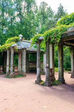 Tsarskoye Selo, Puşkin, Rusya 'daki Catherine Park' ta İtalyan usulü eski pergola-veranda 1865, yabani üzümlerle doludur.