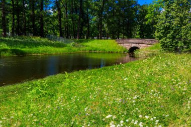Puşkin (Tsarskoye Selo), Rusya 'da Catherine parkında küçük bir nehirde taş kemer köprüsü