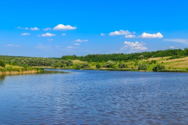 Güzel gölü olan yaz manzarası, yeşil çayırlar, tepeler, ağaçlar ve mavi gökyüzü.