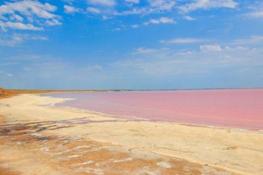 Ukrayna 'nın Kherson bölgesindeki pembe tuzlu Syvash Gölü manzarası