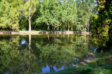 Yaz aylarında yeşil parkta sakin göl