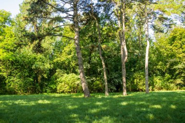 Ukrayna dünya çapında ünlü Askania-Nova dendroloji bahçeye rezerv, dünya Network, Biyosfer rezervleri, Unesco üyesi