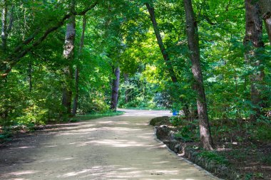 Yazın yeşil parktaki patika