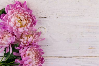 Beyaz ahşap arka planda güzel kasımpatılar. Üst görünüm, alanı kopyala