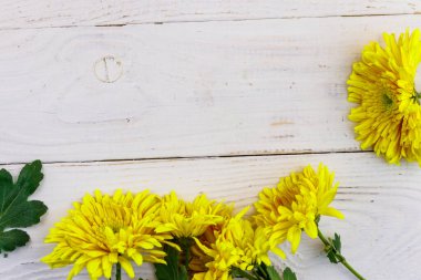 Beyaz ahşap arka planda sarı kasımpatılar. Üst görünüm, alanı kopyala