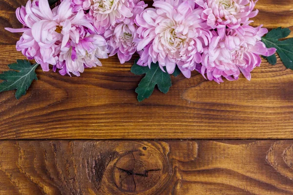 Beautiful Chrysanthemums Wooden Background Top View Copy Space — Stock Photo, Image