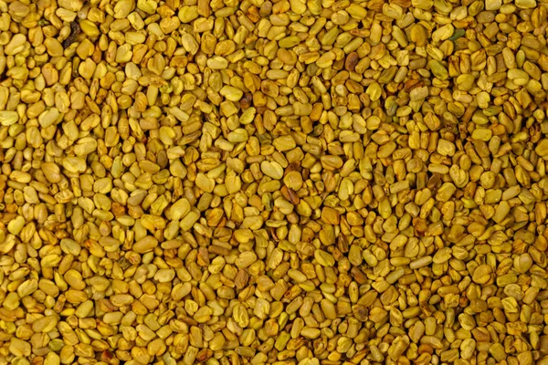 フェヌグリーク種子の背景 — ストック写真
