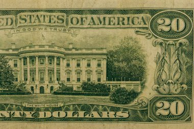 Yirmi dolarlık banknotun makro çekimi