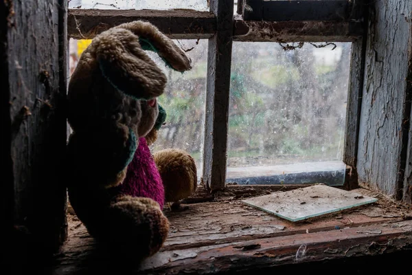 Altes Dreckiges Stofftier Kaninchen Auf Der Fensterbank Verlassenem Haus — Stockfoto