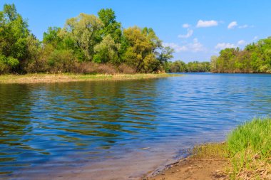 Güzel bir nehir, yeşil ağaçlar ve mavi gökyüzü olan yaz manzarası