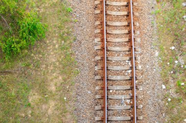 Yeşil bir çam ormanından geçen demiryolu manzarası.