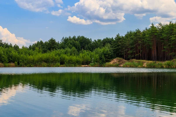 Άποψη Μιας Όμορφης Λίμνης Πευκοδάσος Καλοκαίρι — Φωτογραφία Αρχείου