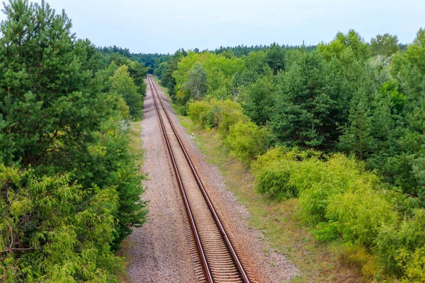 Légi Felvétel Vasúti Pályáról Zöld Fenyőerdőn Keresztül — Stock Fotó