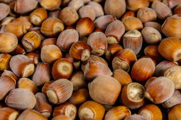 Tüm fındıkların yemek geçmişi