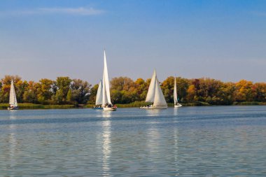 Kremenchug, Ukrayna 'daki Dinyeper Nehri' ndeki yelkenli yarışlarında yatlar