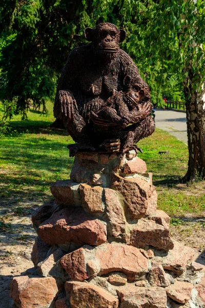 Estatua Mono Zoológico Kiev Ucrania — Foto de Stock