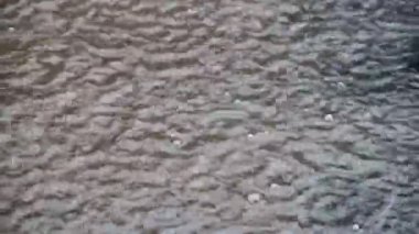 Sağanak yağış sırasında damlayan yağmur damlalarıyla su birikintisi