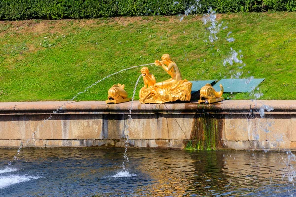 Fonte Dourada Parque Inferior Peterhof São Petersburgo Rússia — Fotografia de Stock