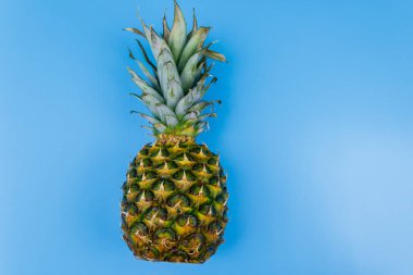 Mavi arka planda koca bir ananas. Üst görünüm