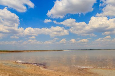 Ukrayna 'nın Kherson bölgesinde bir tuz gölü (istiridye) görüntüsü