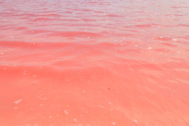 Ukrayna 'nın Kherson bölgesindeki pembe tuzlu Syvash gölünün yüzeyi. Doğal arkaplan, doku