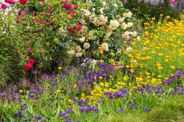 Gürcistan, Batum botanik bahçesinin güzel manzarası
