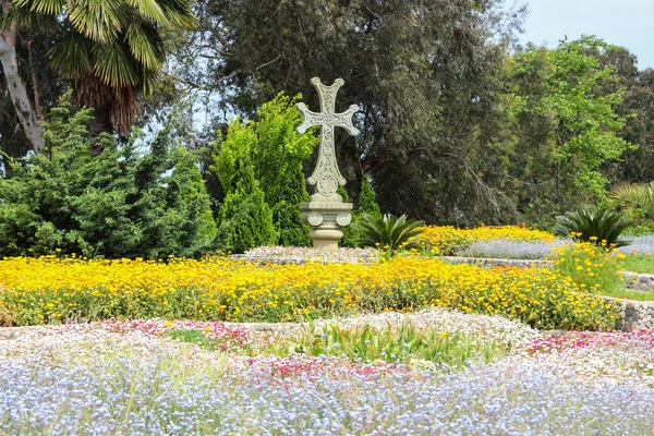 Bela Vista Jardim Botânico Batumi Geórgia — Fotografia de Stock