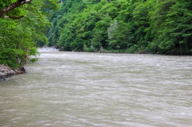 Kafkasya dağlarındaki Acharistskali nehrinin manzarası, Adjara, Georgia
