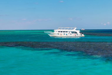 Mısır 'daki Kızıl Deniz' deki mercan resifinin yanında demirli beyaz yat.