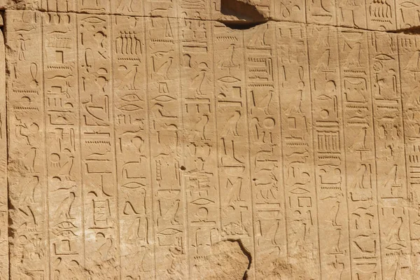Jeroglíficos Egipcios Antiguos Pared Complejo Del Templo Karnak Luxor Egipto — Foto de Stock