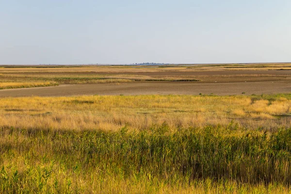 View Sivash Lake Ukraine — Stock Photo, Image